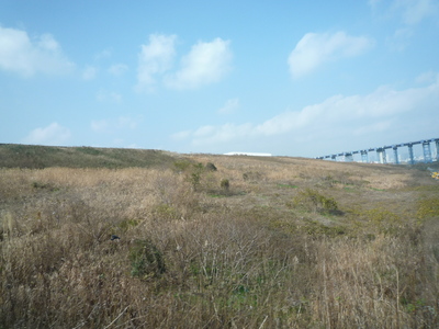 P1050613.JPG